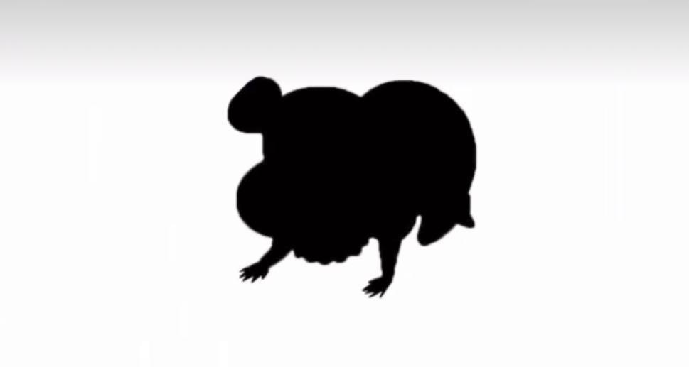 九游体育官方-包含看图猜运动员，10题你能全对吗？的词条