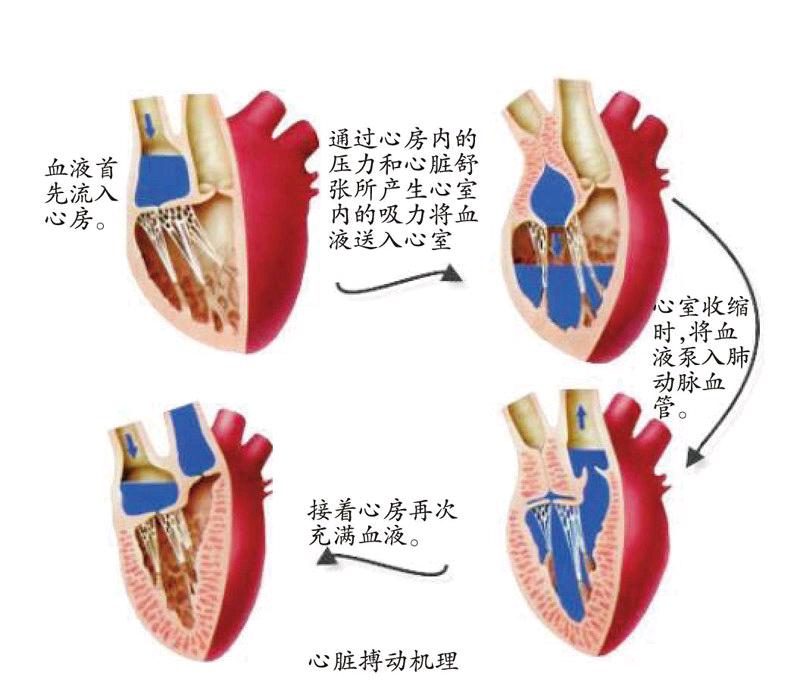 九游体育下载-关于儿童运动损伤报告：过度训练问题突出的信息