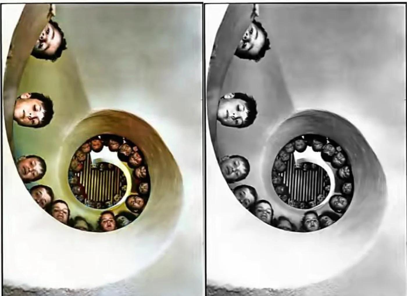 九游体育app下载-关于体育摄影师手记：捕捉决定性瞬间的信息